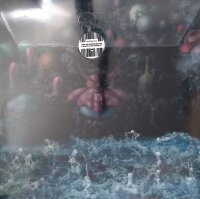 Spidergawd– VII- Red w/Black Vinyl + Single Vinyl 7" + CD, LP- M (Mint) Brandneu