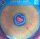 Various – Summer Of Love - Yellow Marbled Vinyl, LP, Limited - M (Mint) Brandneu