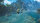 Monster Hunter Wilds / Playstation 5 / PS5 wie NEU