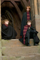 Harry Potter und der Feuerkelch / DVD