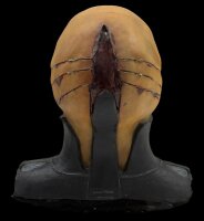 Hellraiser Lebensgroße Büste 1:1 Figur "Zenobit" Guter Zustand