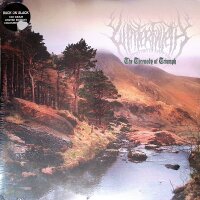 Winterfylleth – The Threnody Of Triumph / Double LP...