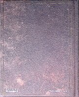 Rise of the Tomb Raider: 20 Year Celebration / Playstation 4 * Guter Zustand