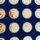 Most Expensive Coins in the World vergoldete Sammlermedaillen / Set / 03243 /#13