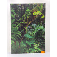 Tierische Superlative Medaillen Komplettset+Sammelalbum /vergoldet /Zertifikat#1