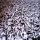 George Michael – Listen Without Prejudice Vol. 1 - Vinyl, LP - VG (Very Good)