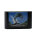 Ecco The Dolphin / Sega Mega Drive / ohne Anleitung / Retro / OVP