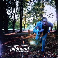 Pit Przygodda – Pitsound - Vinyl, LP - VG (Very...