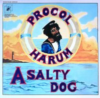 Procol Harum – A Whiter Shade Of Pale / A Salty Dog - Vinyl, LP - VG+ Top