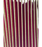 Hohner "Tango II M" Akkordeon / 96 Bässe / Rot / Koffer / Top Zustand