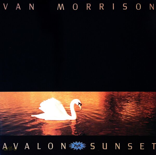 Van Morrison ‎– Avalon Sunset - Vinyl, LP - VG+ (Very Good Plus) Top