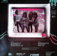 Accu§er ‎– Experimental Errors - Vinyl, LP - VG- (Very Good Minus) Akzeptabel