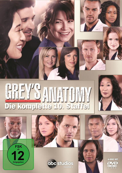 Greys Anatomy - Staffel 10  ( 6 DVDs ) - Top Zustand