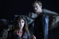True Blood - Staffel 6  ( 4 DVDs )