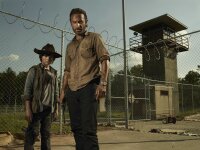 The Walking Dead - Die komplette dritte Staffel - Uncut  [5 DVDs]