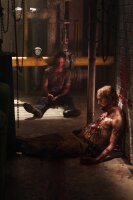 The Walking Dead - Die komplette dritte Staffel - Uncut  [5 DVDs]