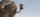 Die Croods / DVD *Top Zustand