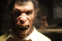 Grimm - Staffel 1  [6 DVDs] - Top Zustand