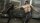 Starship Troopers 4 - Invasion / DVD Top Zustand
