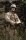 Der Soldat James Ryan / Blu-Ray * Guter Zustand