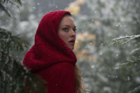 Red Riding Hood - Unter dem Wolfsmond  / DVD - Top Zustand