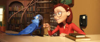 Rio | Ein Turbulentes Abenteuer / DVD