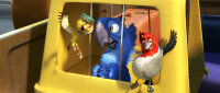 Rio | Ein Turbulentes Abenteuer / DVD