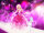 Barbie - Modezauber in Paris / DVD