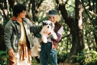 Brücke nach Terabithia / DVD