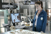 Bones: Die Knochenjägerin - Season 1 (6 DVDs) Top Zustand