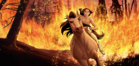Spirit - Der wilde Mustang / DVD