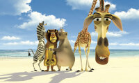 Madagaskar, Animation, DVD, FSK 0 - Top Zustand