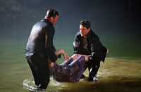 Kiss Kiss Bang Bang / DVD