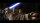 Star Wars Episode 3 - Die Rache der Sith [2DVDs]
