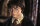Harry Potter und die Kammer des Schreckens / DVD * Top Zustand