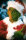 Der Grinch / DVD