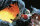 Der Grinch / DVD