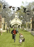 Big Fish / DVD - Top Zustand