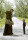 Big Fish / DVD - Top Zustand