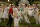 Big Fish / DVD - Top Zustand