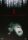 Blair Witch Project / DVD *Top Zustand