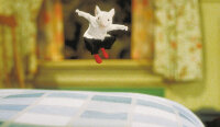 Stuart Little / DVD Top Zustand