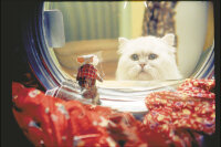 Stuart Little / DVD Top Zustand