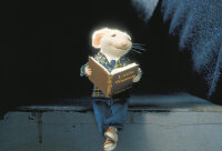 Stuart Little / DVD Top Zustand