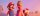 Der Super Mario Bros. Film / DVD