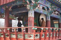 Die Frau im Nebel - Decision to Leave / DVD *Top Zustand