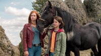 Ostwind - Der große Orkan von Constantin Film  / DVD