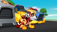 Paw Patrol: Mighty Pups Charged Up! / DVD
