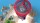 Paw Patrol: Mighty Pups Charged Up! / DVD