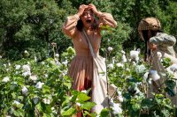 Antebellum / DVD * Guter Zustand